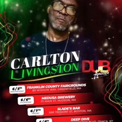 Dub Apocalypse ft. Carlton Livingston -  Live at Deep Dive (Lonely Man)