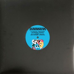 Premiere | DJ Astrobee - Oslo Dub (SUM001)