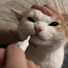 Falling In Luv v2 - NgDungx x Danxi Mix.mp3