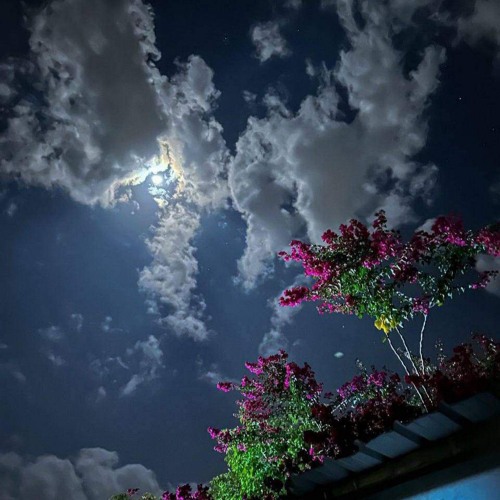 اشتدِّي أزمةُ تنفرجي - ابن مليك || وهيب الشيخ