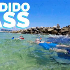 Best Snorkeling In Orange Beach Alabama Prices Reviews