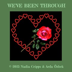 WE'VE BEEN THROUGH