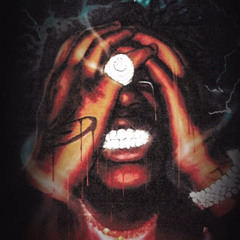 f*ck yall li rye sight slowed