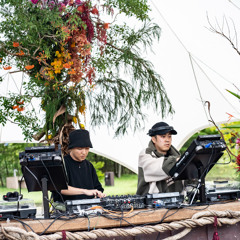 Herbalistek_MATRICARIA STAGE_20240922