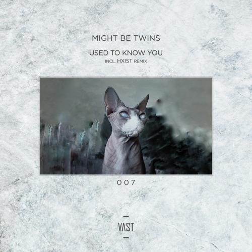 Might Be Twins - Used To Know You [VAST007] | Preview