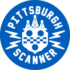 3-9-25 - Pittsburgh Police report a crowd of kids downtown causing trouble