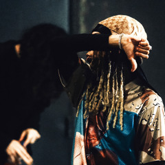 LA REVANCHE DU VAURIEN