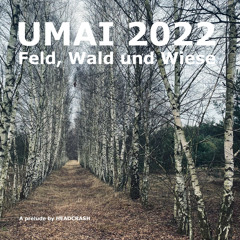UMAI 2022 @ UMAI Festival / Poland