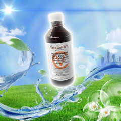 one day w/1mint + crusey (s1ck)