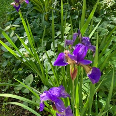 Softening Hands And Eyes  6 - 18 - 24