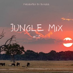 Jungle Mix #01 (presented by Boyzee) | Afro-House Essential Mix