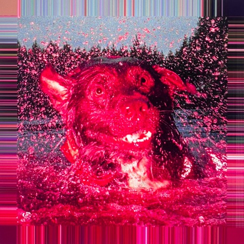 PINK WHITNEY // kidneys pt 2 - DYLAN FLETCHER (PROD. cpt mrgn)