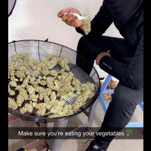 Harry Shotta - Ticka Toc