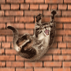 the pleading +tec9beat +zmny