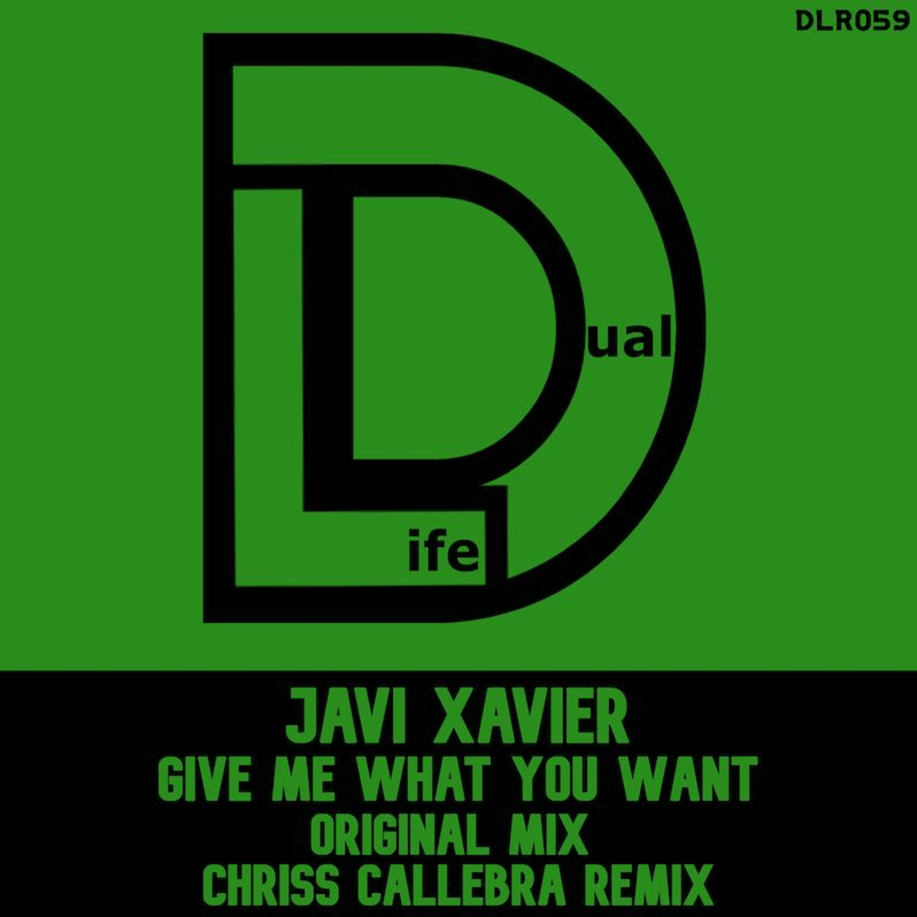 Dual Life Records
