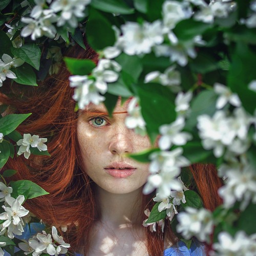 Tương Tư - Chung Thanh Duy - List Tổng Hợp