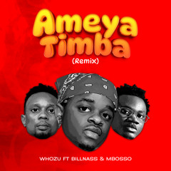Ameyatimba (Remix) [feat. Billnass & Mbosso]