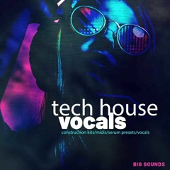 Big Sounds Tech House Vocals