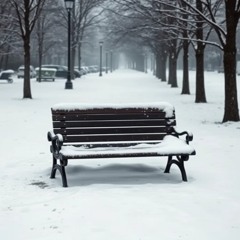 Searching for Christmas