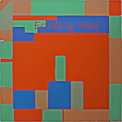 Echoing Vibe
