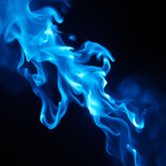 Where are you Seated-A Journey through the 4-Density Soul Seats