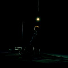 The Darkhorse - The Dimming