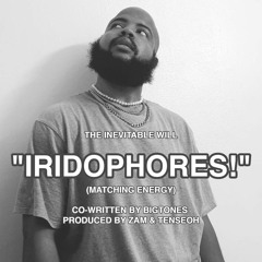 IRIDOPHORES (MATCHING ENERGY)