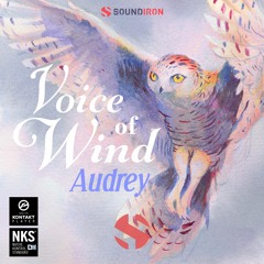 Mike Espinell - Reunion - Soundiron Voice Of Wind Audrey