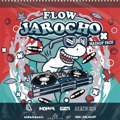 Flow Jarocho | *FREE MASHUP PACK* | Starts 1:11