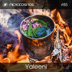 Yaleeni — Microcosmos Chillout & Ambient Podcast 085