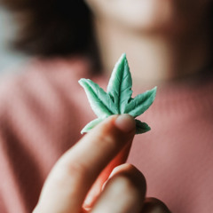 Order Forever Hemp Gummies Feel The Pain Relief In Minutes