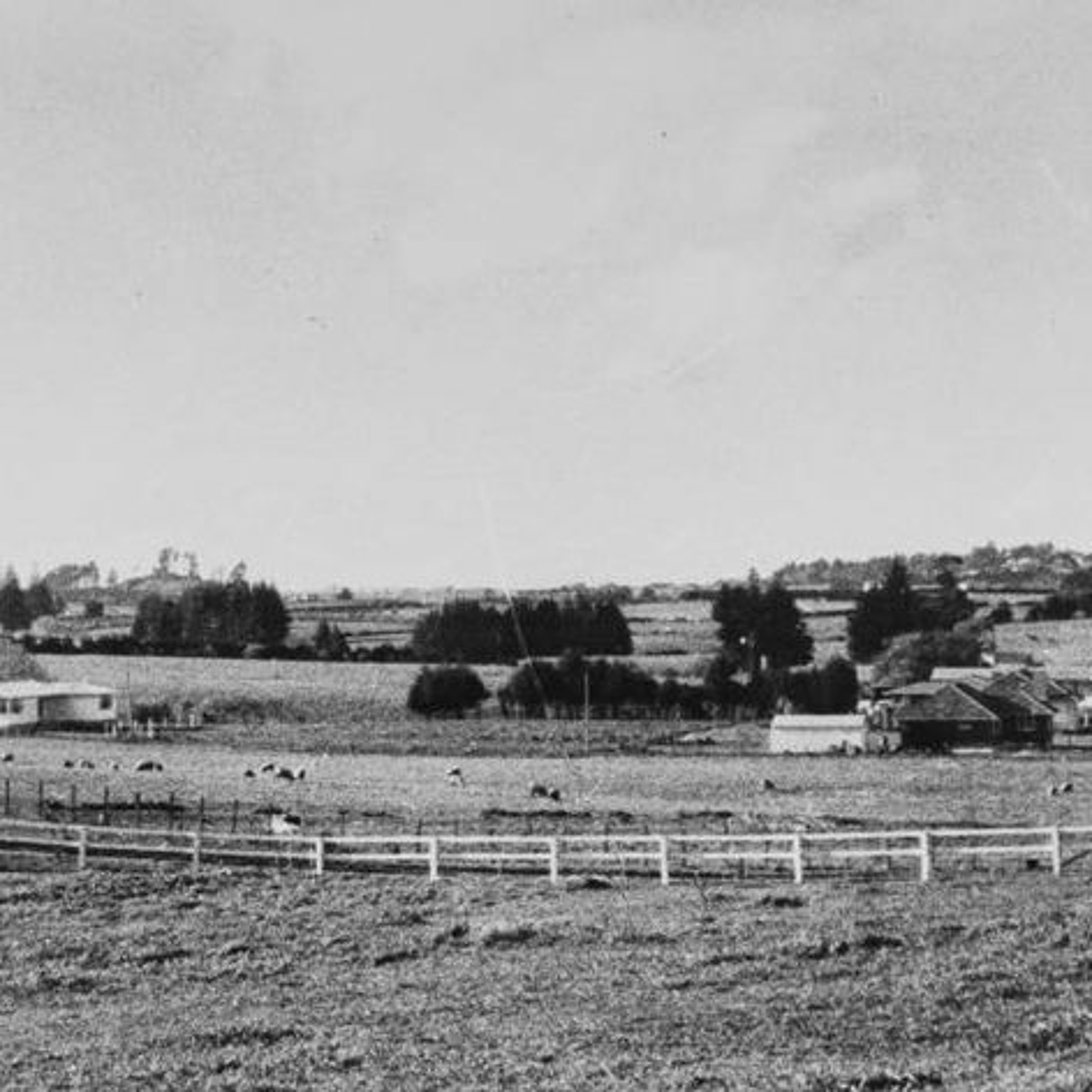 Ngā Pātaka Kōrero - Auckland Libraries