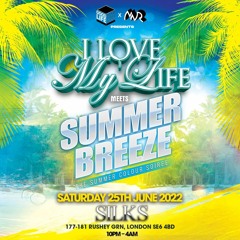 Pure Vibes Ent - Live At I Love My Life Meets Summer Breeze 25.06.22