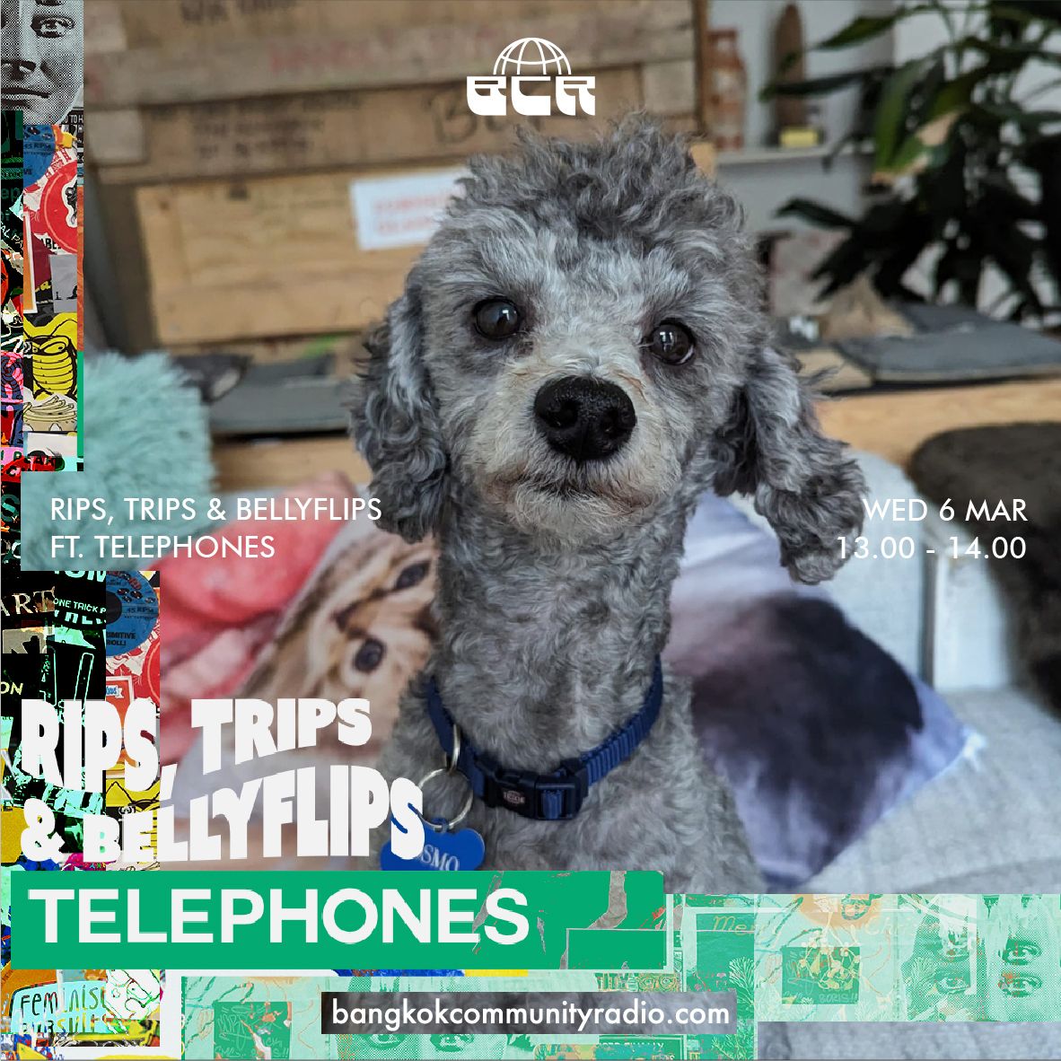 Rips, Trips & Bellyflips Ft. Telephones – 6th March 2024