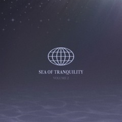 S.O.T. volume 2 - rebirth mix