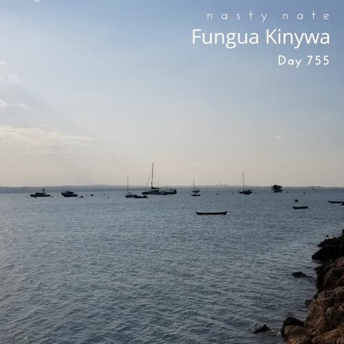 n a s t y  n a t e - Fungua Kinywa. Day 755 - AMAPIANO