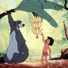 verträumt im dschungel