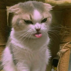 Tuviste - Bratty (cover)