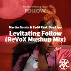 Martin Garrix & Zedd Feat. Dua Lipa - Levitating Follow (ReVoX Mushup Mix)