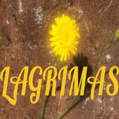 LÁGRIMAS (feat. Critico & Mónica Moreno)