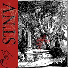 Experimental Thoughts