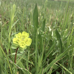 Deep South - A Beautiful Place