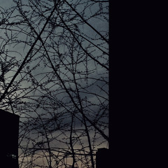 Say,something. (prod. uplinc)