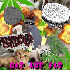 KITTENS ARE CRAWLING OUT OF MY ANUS