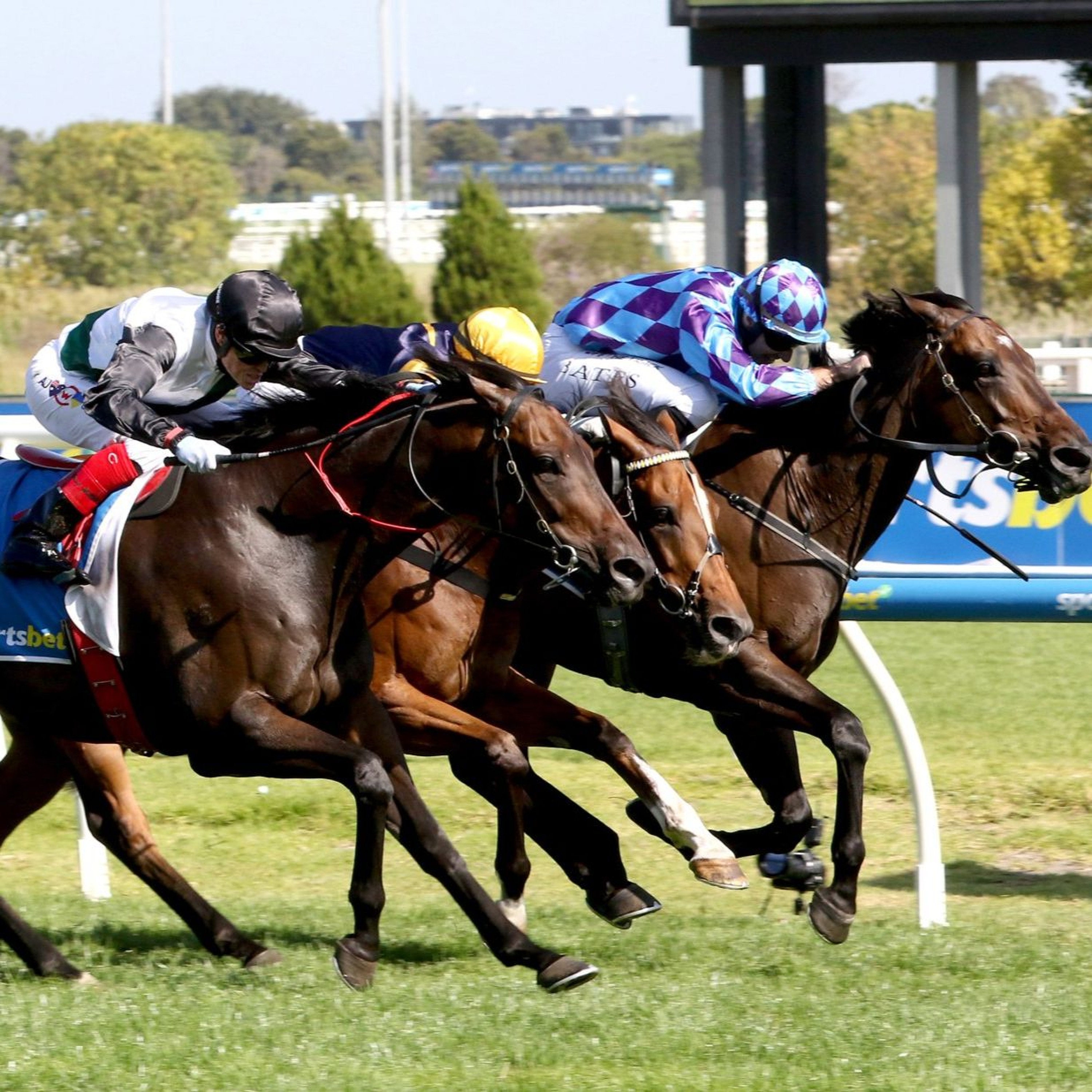 C.F. Orr Stakes Runner By Runner Preview