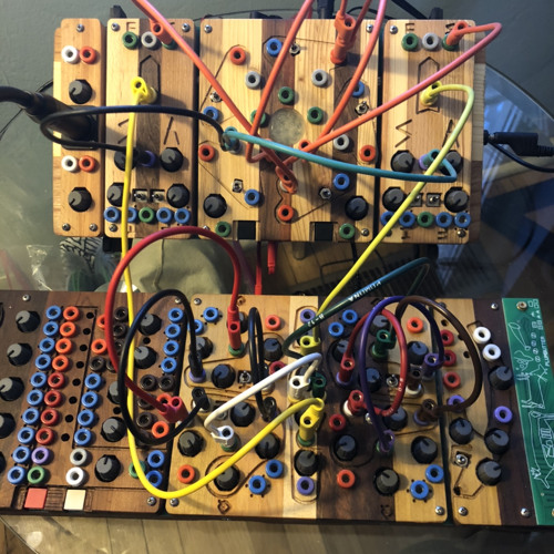 011621006 Plumbutter Cocoquantus