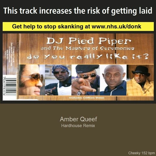 Do you really like it? [amber queef hardhouse remix]