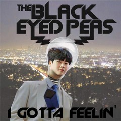 The Black Eyed Peas - I Gotta Feeling (jeonghyeon Remix)