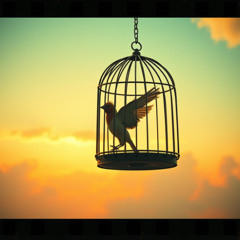 How does it feel to be free?