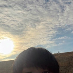 Yvng xan ｰ 紙飛行機